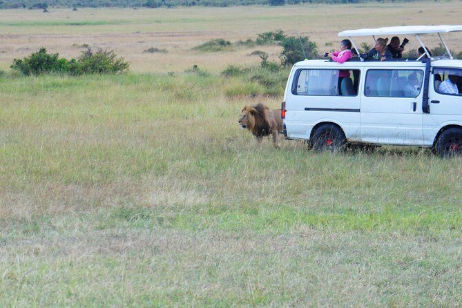 6 Days private safari package Kenya - Final Thoughts