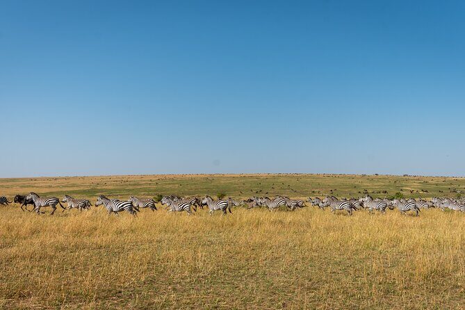6 Days Private Safari Tour - FAQs