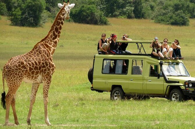 6 Days Private Tanzania Midrange Safari Adventure - Why You’ll Love This Tanzanian Safari