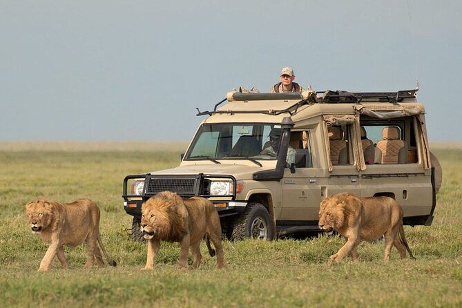6 Days Private Tanzania Midrange Safari Adventure - Authentic Experiences & Real-World Insights