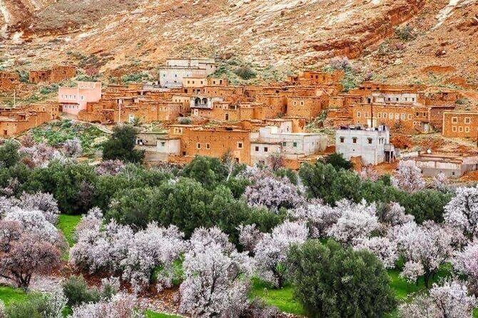 6 Days Private Tour From Fes to Marrakech - Day 6: Marrakech — The Red City’s Rich Tapestry