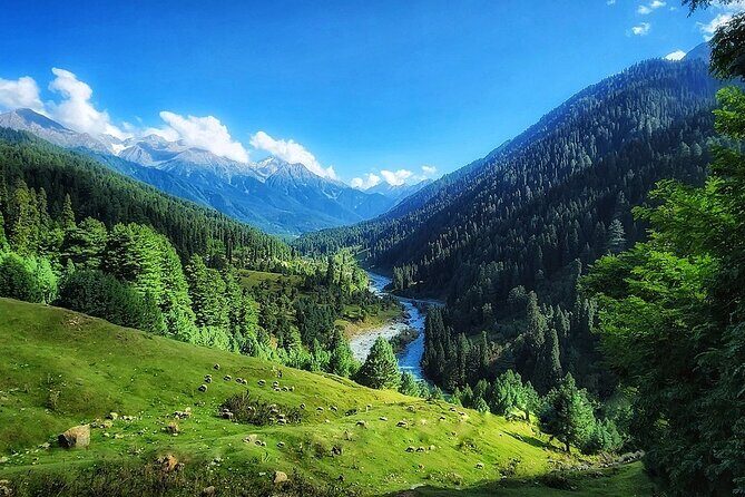 6 Days Private Tour in Kashmir - Who Will Love This Tour?