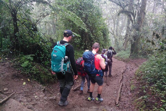 6 Days Rongai route climbing Mt.Kilimanjaro - Who Will Love This Tour?