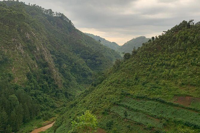 6 Days Rwanda Uganda Budget Wildlife Safari - The Sum Up: Who Is This Tour For?
