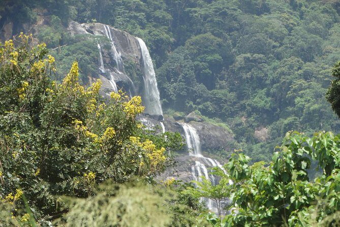 6 Days Safari to Udzungwa Mountain NP, Ruaha NP and Mikumi NP - Key Points