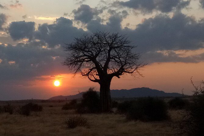 6 Days Safari to Udzungwa Mountain NP, Ruaha NP and Mikumi NP - FAQ