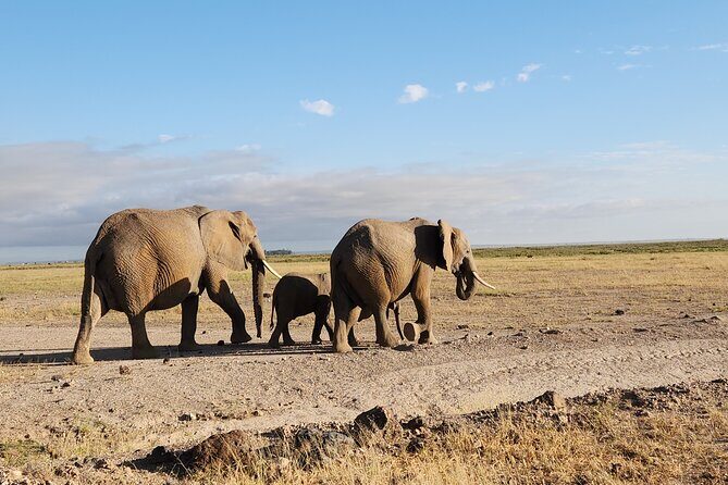 6 Days Safari Tour in Amboseli, Tsavo West and Tsavo East - Who is This Tour Best For?