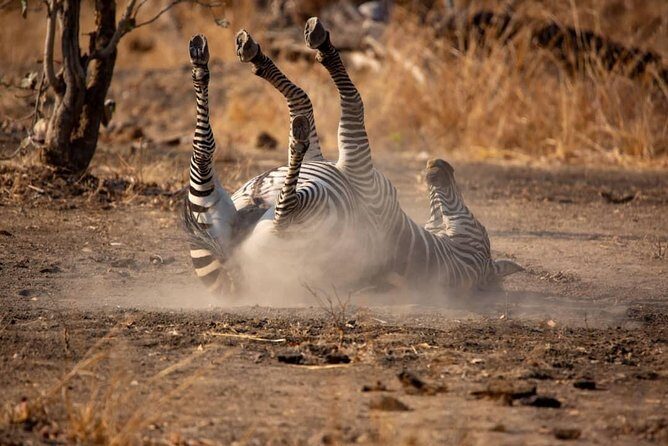 6 Days Selous ,Mikumi Udzungwa National + Boat Safari +Masai culture - FAQ