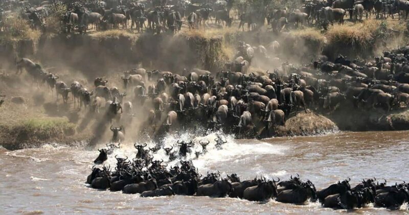6 Days Serengeti Annual Migration Escape - What’s Included and What’s Not