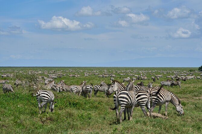 6 Days Serengeti Classic Safaris Odyssey in Tanzania - A Close Look at the 6 Days Serengeti Classic Safaris Odyssey in Tanzania