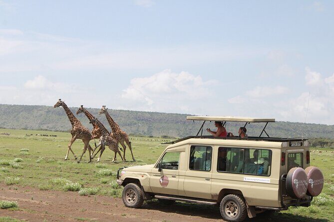 6 Days Serengeti Safari(hiking waterfalls &coffee tour) - Days Three & Four: Exploring the Serengeti and Ngorongoro