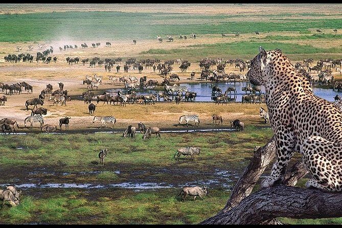 6 Days Serengeti Safari(hiking waterfalls &coffee tour) - Day Five: Lake Manyara & Hot Springs