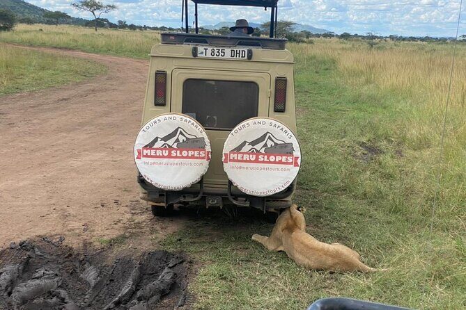 6 Days Tanzania Budget Camping Safari with Migration - Introduction to the Tour Experience