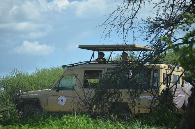 6 days Tanzania budget safari - A Deep Dive into the Safari Itinerary