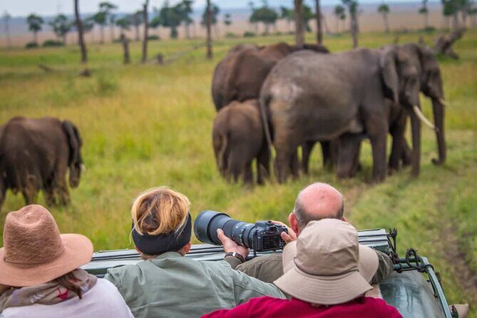 6 Days Tanzania Northern Circuit Safari - Authenticity and Personal Touch