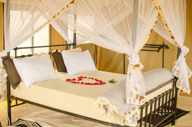 6 Days Tanzania Wildlife Camping Safari - A Closer Look at the 6-Day Itinerary
