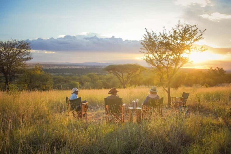 6 Days Tanzania Wildlife in the Heart of Africa's - Authentic Experiences & Guide Insights