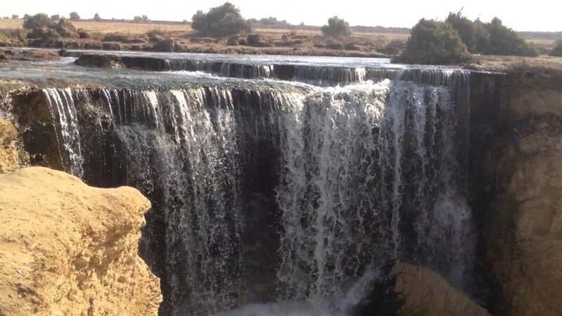 6 Days to El Fayoum Oasis, White Desert and Bahariya Oasis - Who Should Consider This Tour?