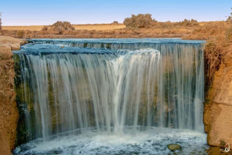 6 Days to El Fayoum Oasis, White Desert and Bahariya Oasis - Final Thoughts