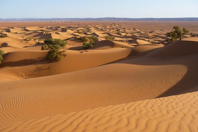 6 days tour from Marrakech to Sahara desert & Atlantic coast Essaouira - FAQ