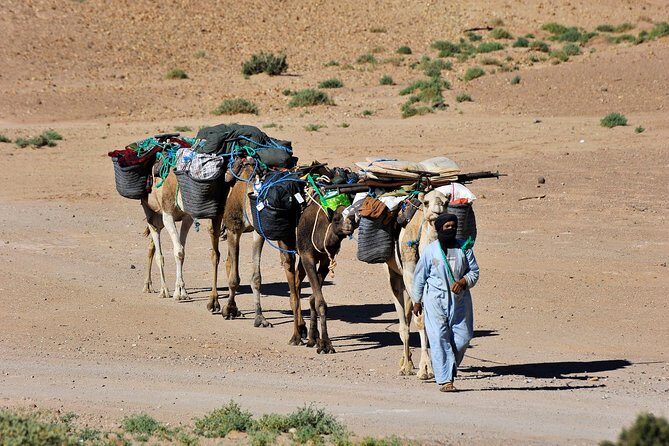 6 days trekking To The heart of Desert - Day 1: Into the Desert at MHamid