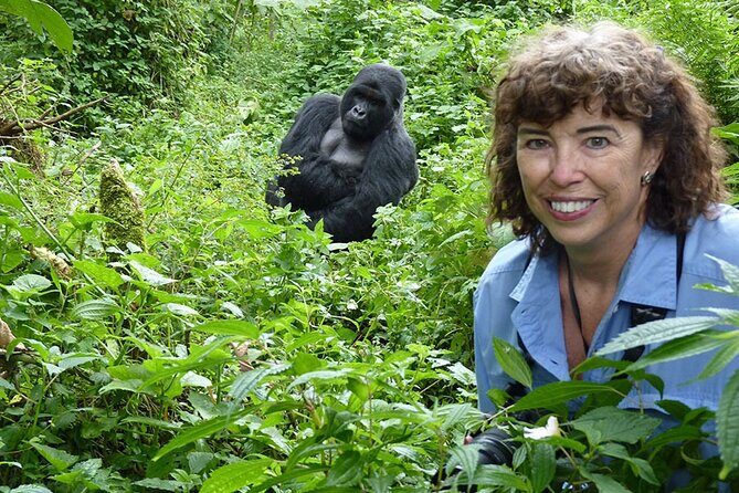 6 Days Uganda Gorilla, Chimps Trekking and Wildlife Safari - Transportation, Accommodation, and Overall Value