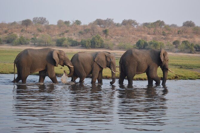 6 Days Victoria Falls Chobe Wildlife and Okavango Delta Tour - Who Will Love This Tour?
