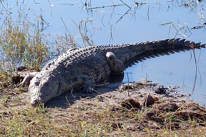6 Days Victoria Falls Chobe Wildlife and Okavango Delta Tour - Final Thoughts