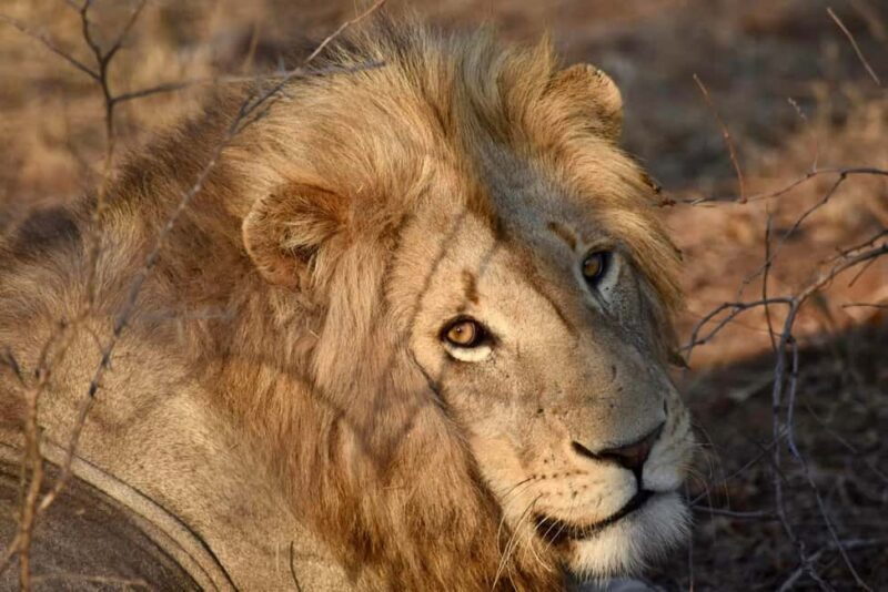 6 Days Wildlife Aberdares-Nakuru-Naivasha-Masai Mara Safari. - Key Points