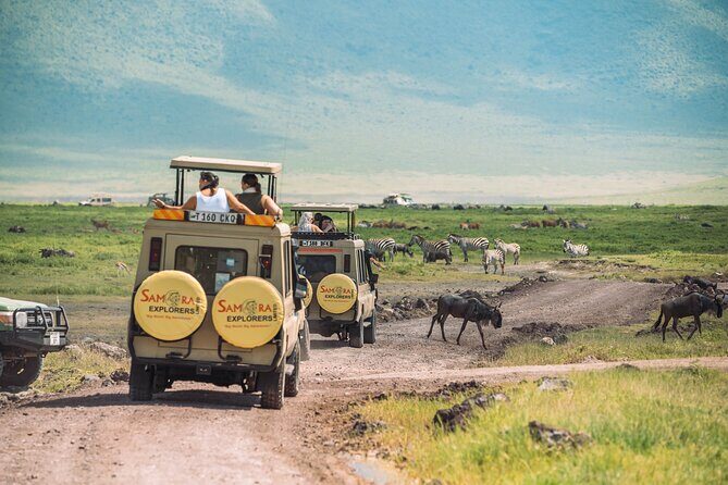 6-DayThe Best of Northern Tanzania Safari - Final Thoughts: Is It Worth It?