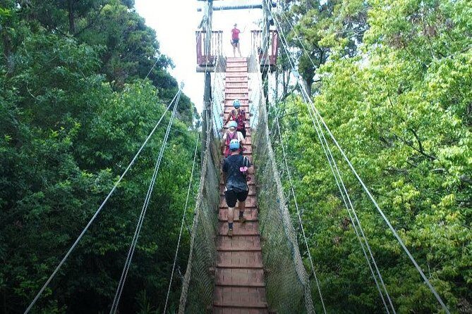 6 Dual-Zipline Mountain Adventure in Maui - The Value: Pricing and Overall Experience