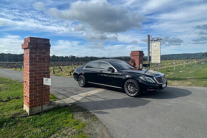 6 Hour Adelaide Hills Winery Tour - Who Will Love This Tour?