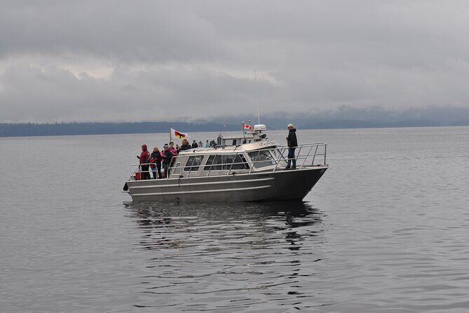 6 hour Covered Boat Whale Watching Tour - Key Points
