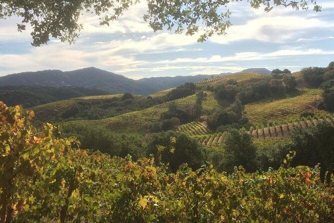 6-Hour Exclusive Wine Tour Experience: Up to 6 Guests - Who Should Consider This Tour?