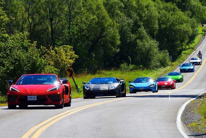 6 Hour Exotic Car Tour driving 6 Super cars + Lunch - FAQ