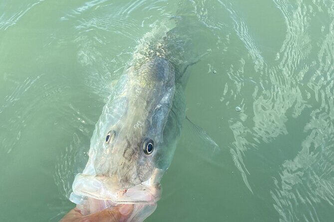 6 Hour Florida Keys Fishing Charter - Frequently Asked Questions