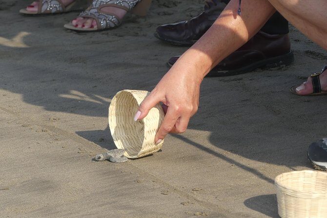 6 Hour Fun-Filled Tour Perfect for Cruise Travelers & Hotel Stays - FAQ