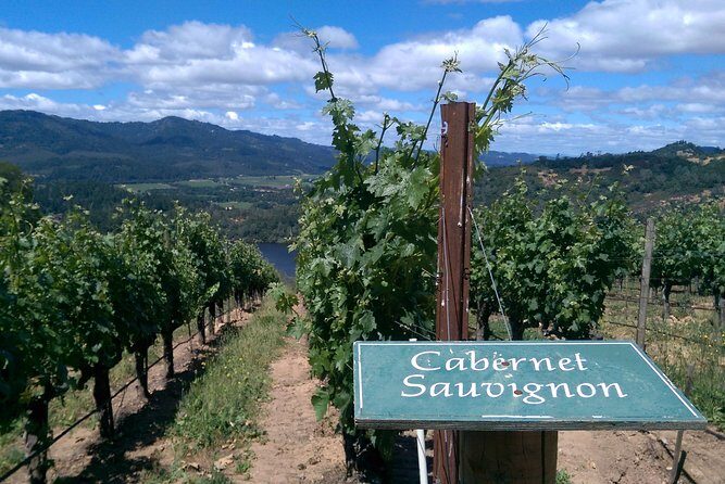 6 Hour Napa or Sonoma Wine Tour in Private Limousine - Value and Pricing: Is It Worth It?