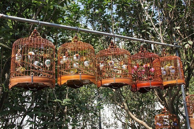 6-Hour Private Beijing Tour: Flower and Fish Market, Panjiayuan Antique Market and 798 Art Zone - Who This Tour Suits Best