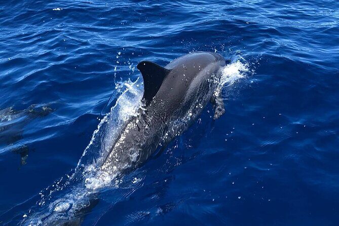 6 Hour Private Charter in Kona - Key Points