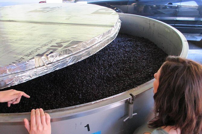 6 Hour Private Customized Wine Tour up to 7 Guests Napa & Sonoma - The Sum Up: Why Choose This Private Wine Tour?