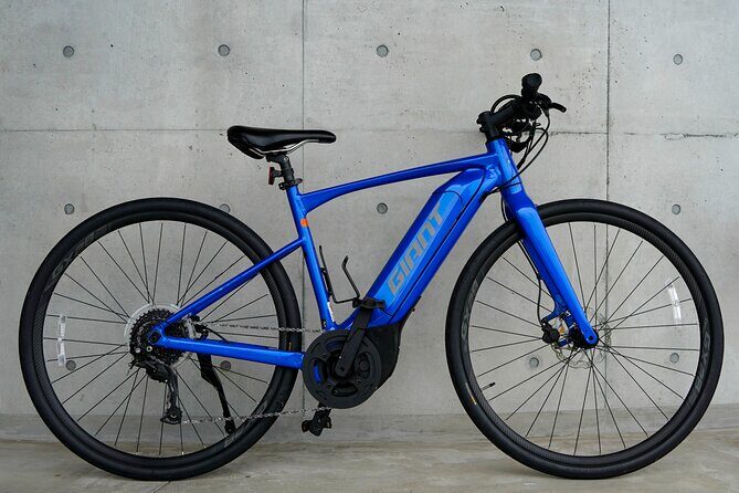 6 Hour Private E bike Tour on Omishima - An In-Depth Look at the Omishima E-bike Experience