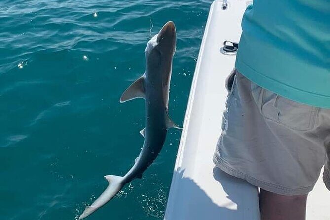 6 Hour Private Fishing Tour in Sarasota with Master Captain Bill - Final Thoughts: Is This Tour Worth It?