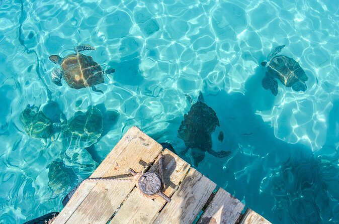 6 Hour Private Guided Tour Beyond the Beaches of Curacao - Final Thoughts