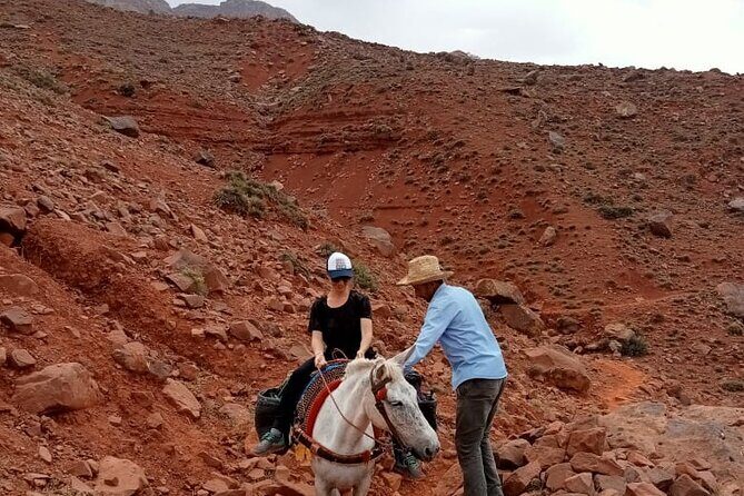 6-hour private hike to discover Berber villages - What Makes This Tour Stand Out?