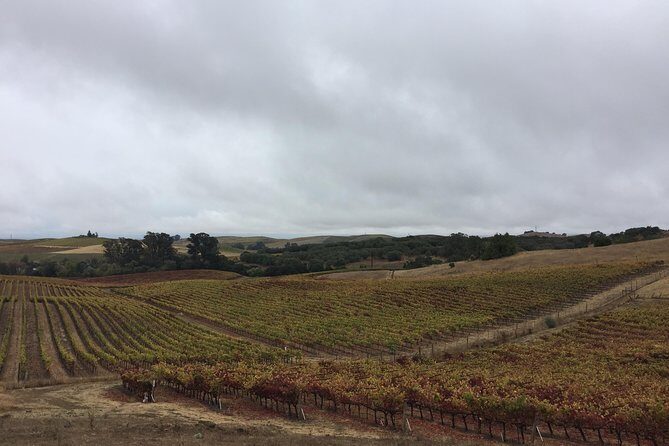 6-Hour Private Limousine Wine Country Tour of Napa or Sonoma - Who Will Enjoy This Tour?