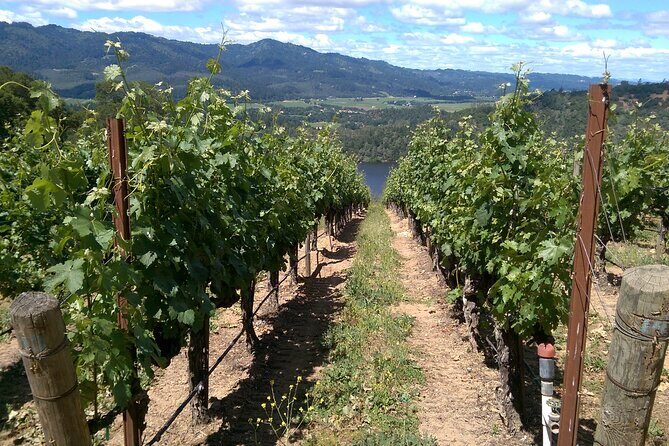 6-Hour Private Napa Limousine Wine Tour (Style & Wine) - Final Thoughts