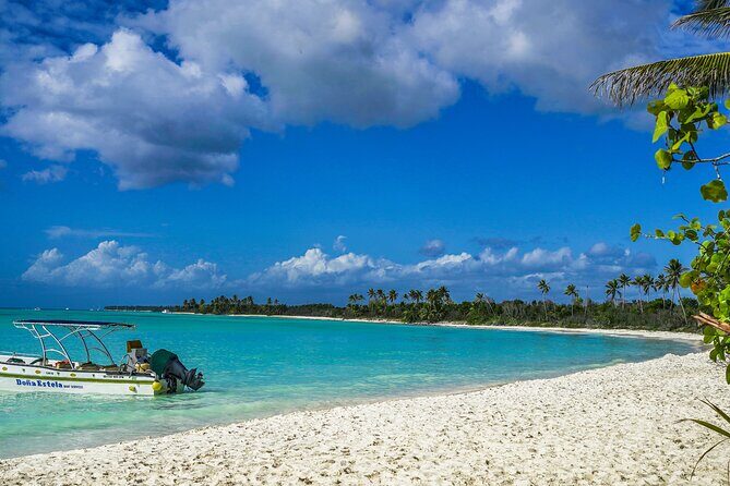 6 Hour Private Saona Island Tour with Snorkeling - Key Points