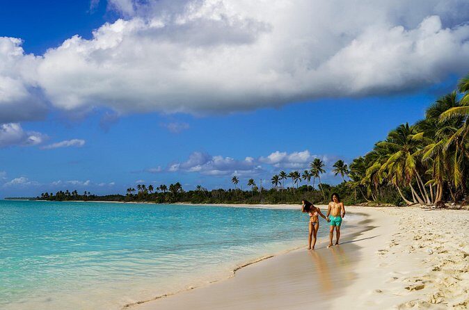 6 Hour Private Saona Island Tour with Snorkeling - Practical Details and Value