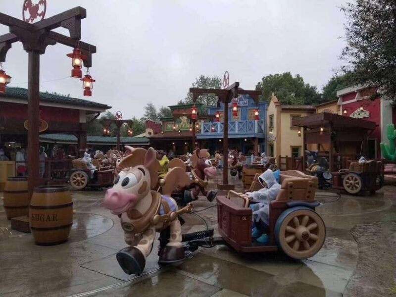 6 hour private tour in Disneyland - Character Encounters and Photo Passes